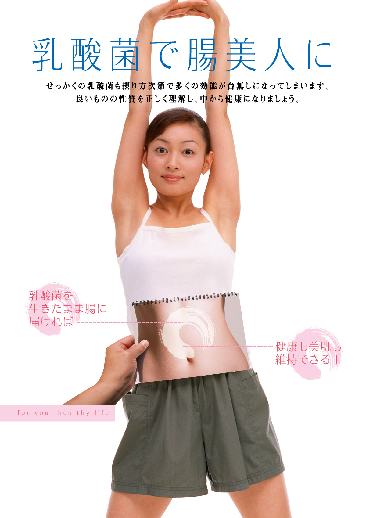 乳酸菌で腸美人パンフレット